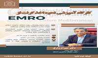 کارگاه آموزشی نحوه اخذ گرنت از EMRO
